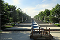 54353.jpg